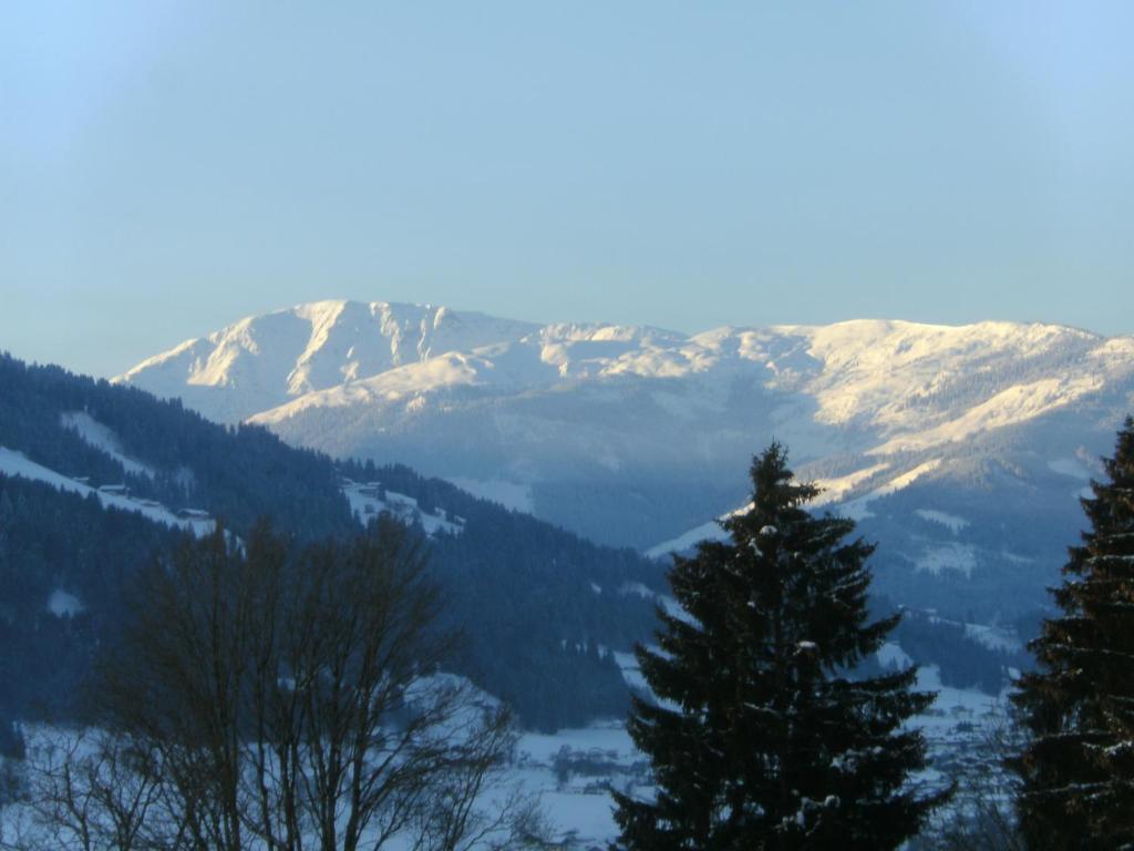 Bauernhof Hundbichl Βίλα Brixen im Thale Εξωτερικό φωτογραφία