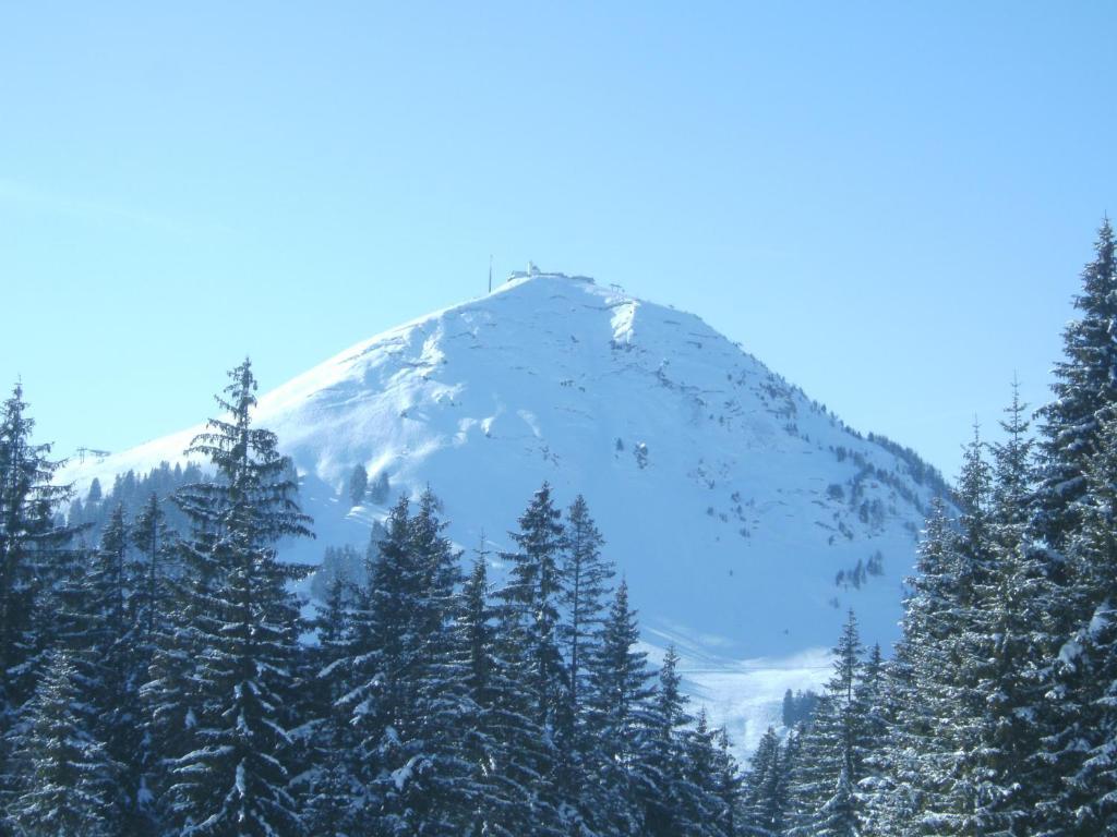 Bauernhof Hundbichl Βίλα Brixen im Thale Εξωτερικό φωτογραφία