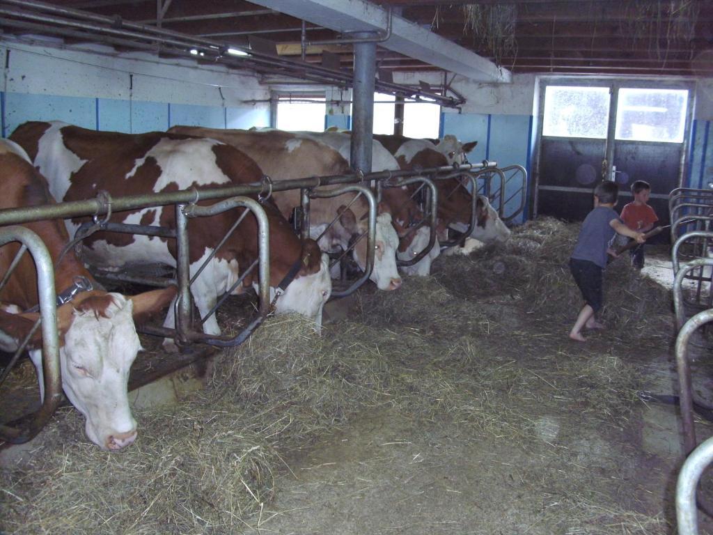 Bauernhof Hundbichl Βίλα Brixen im Thale Εξωτερικό φωτογραφία